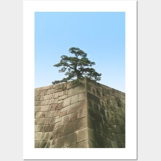 Bonsai on a Stone Wall Posters and Art